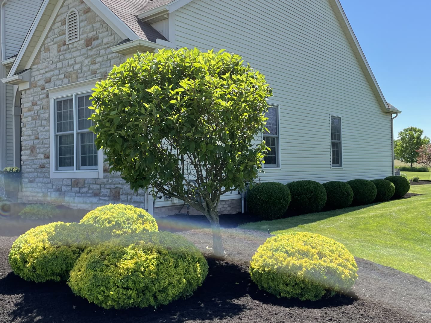 Finished residential landscape with layered plantings and natural stone edging