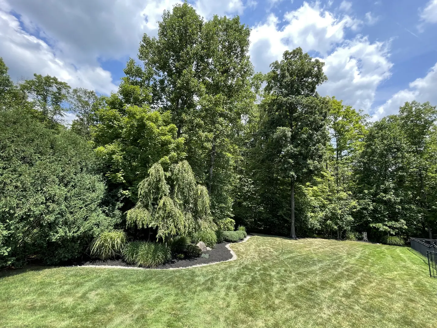 Finished residential landscape with fresh dark mulch