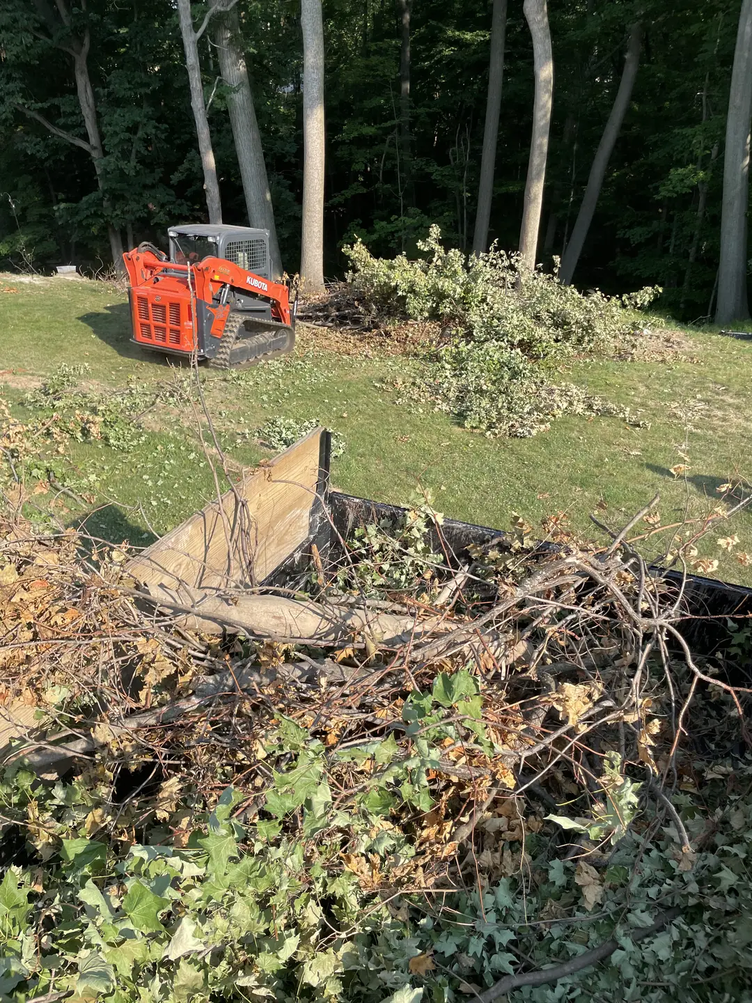 Site clearing and grading during landscape construction