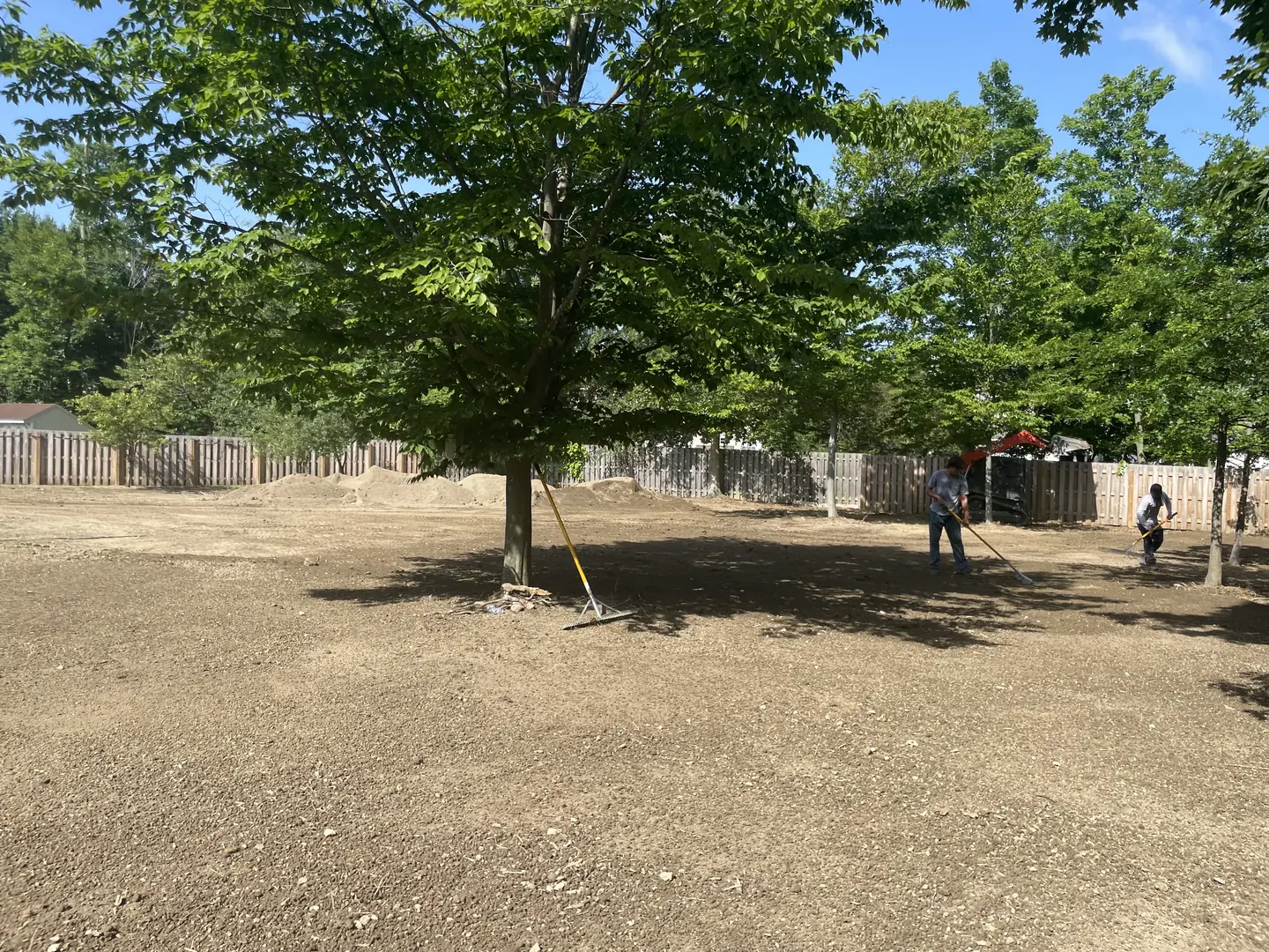 Site clearing and grading during landscape construction