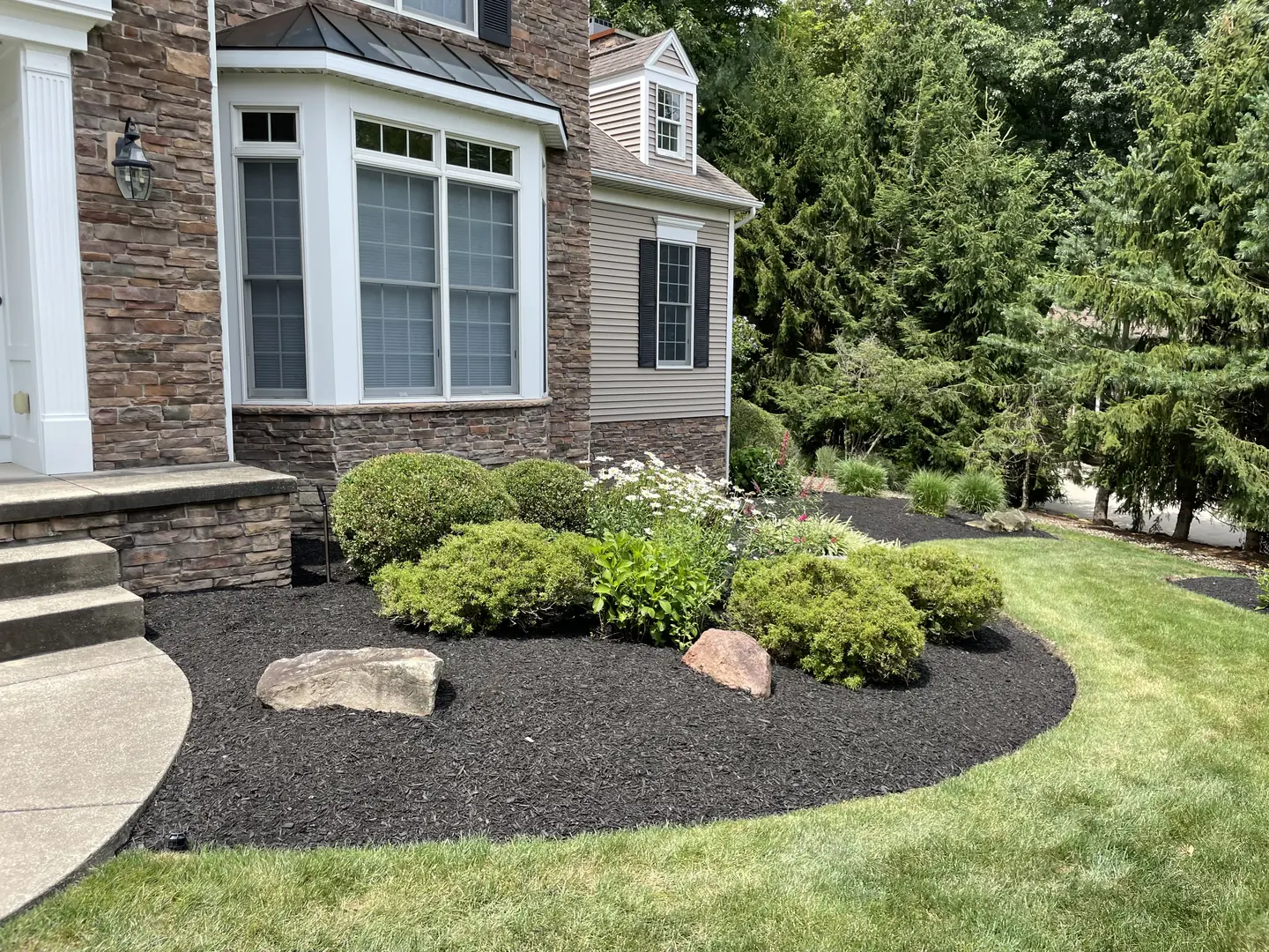 Freshly edged and mulched residential landscape bed