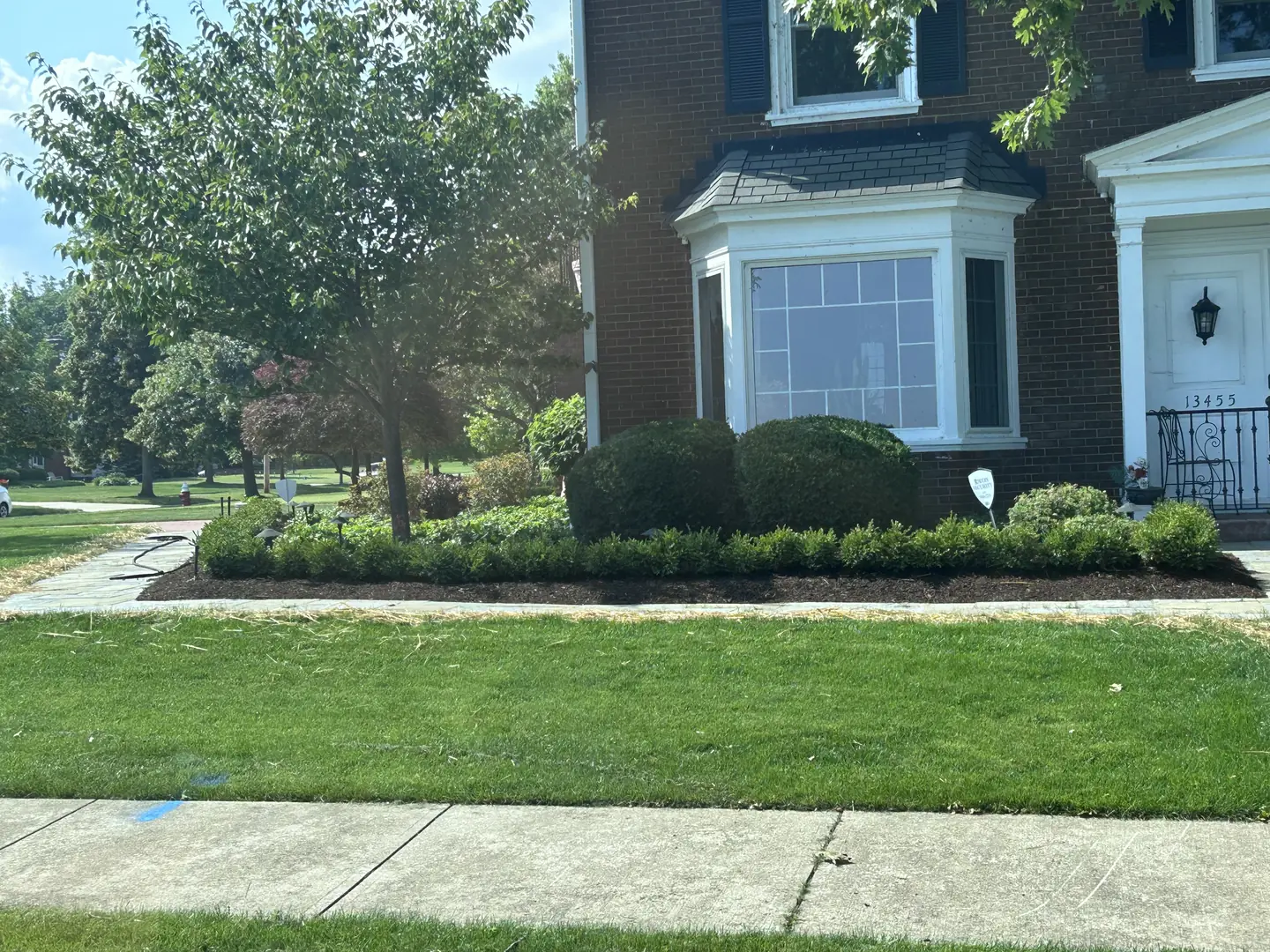 Freshly edged and mulched residential landscape bed