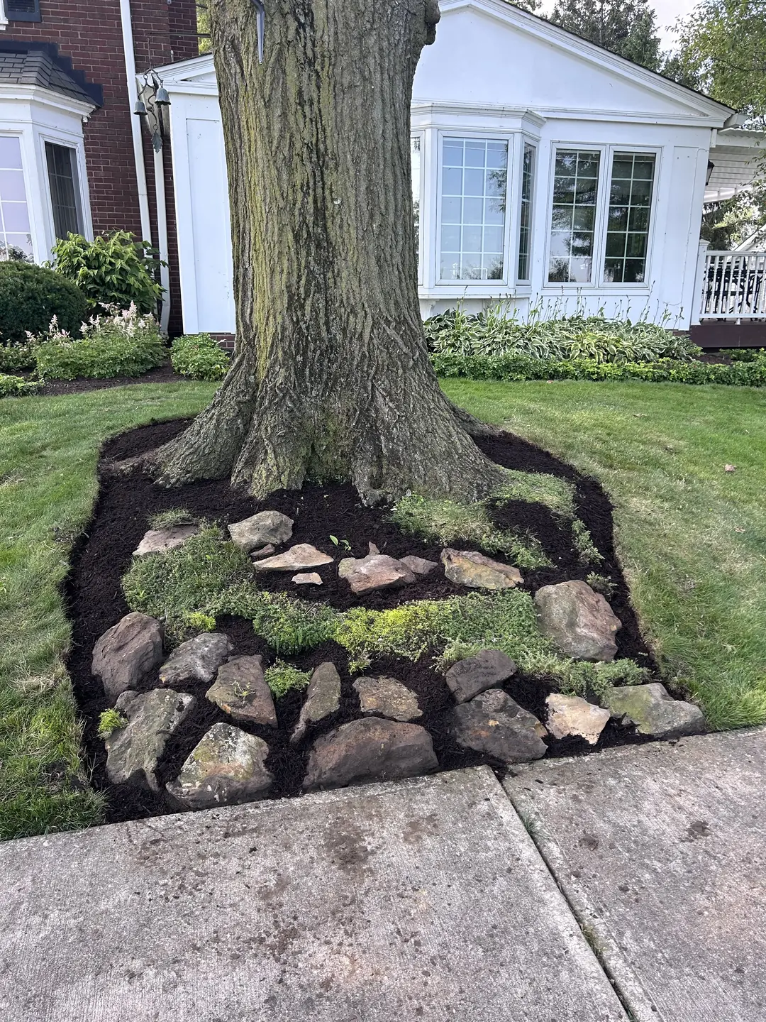 Freshly edged and mulched residential landscape bed