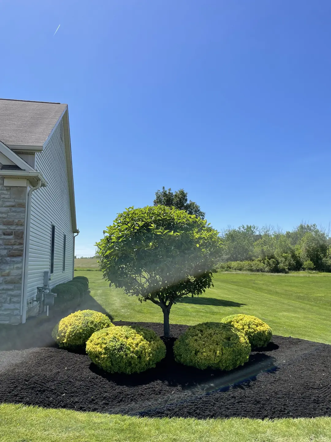Freshly edged and mulched residential landscape bed