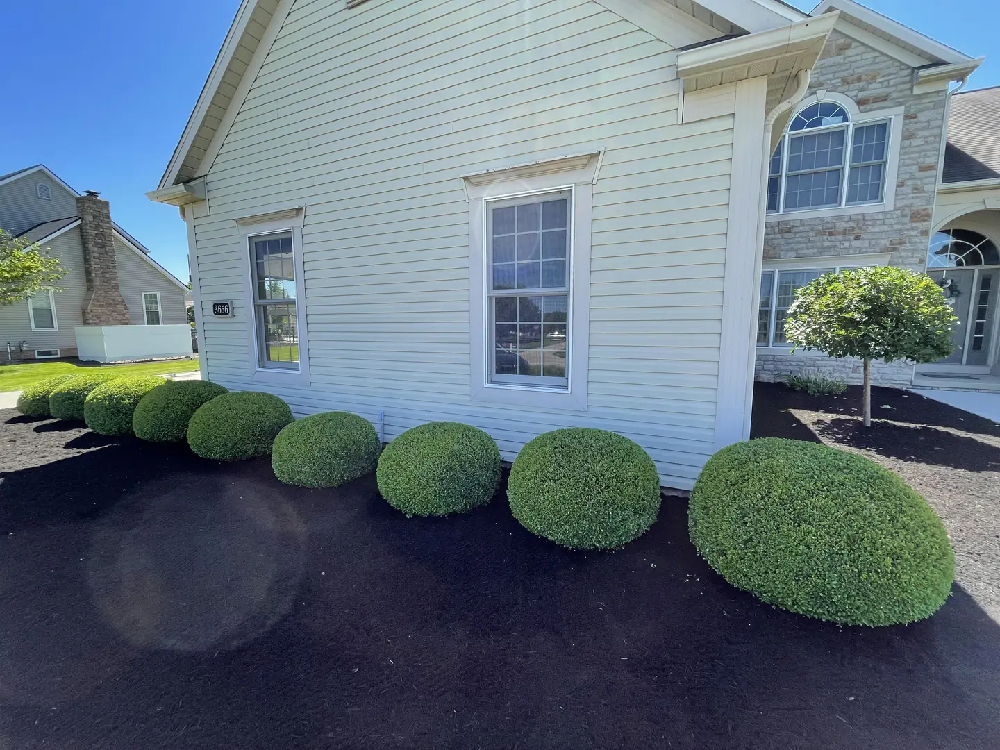 Freshly edged and mulched residential landscape bed