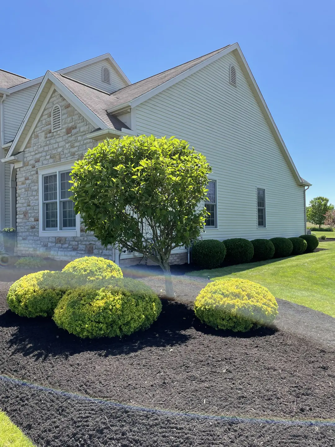 Freshly edged and mulched residential landscape bed
