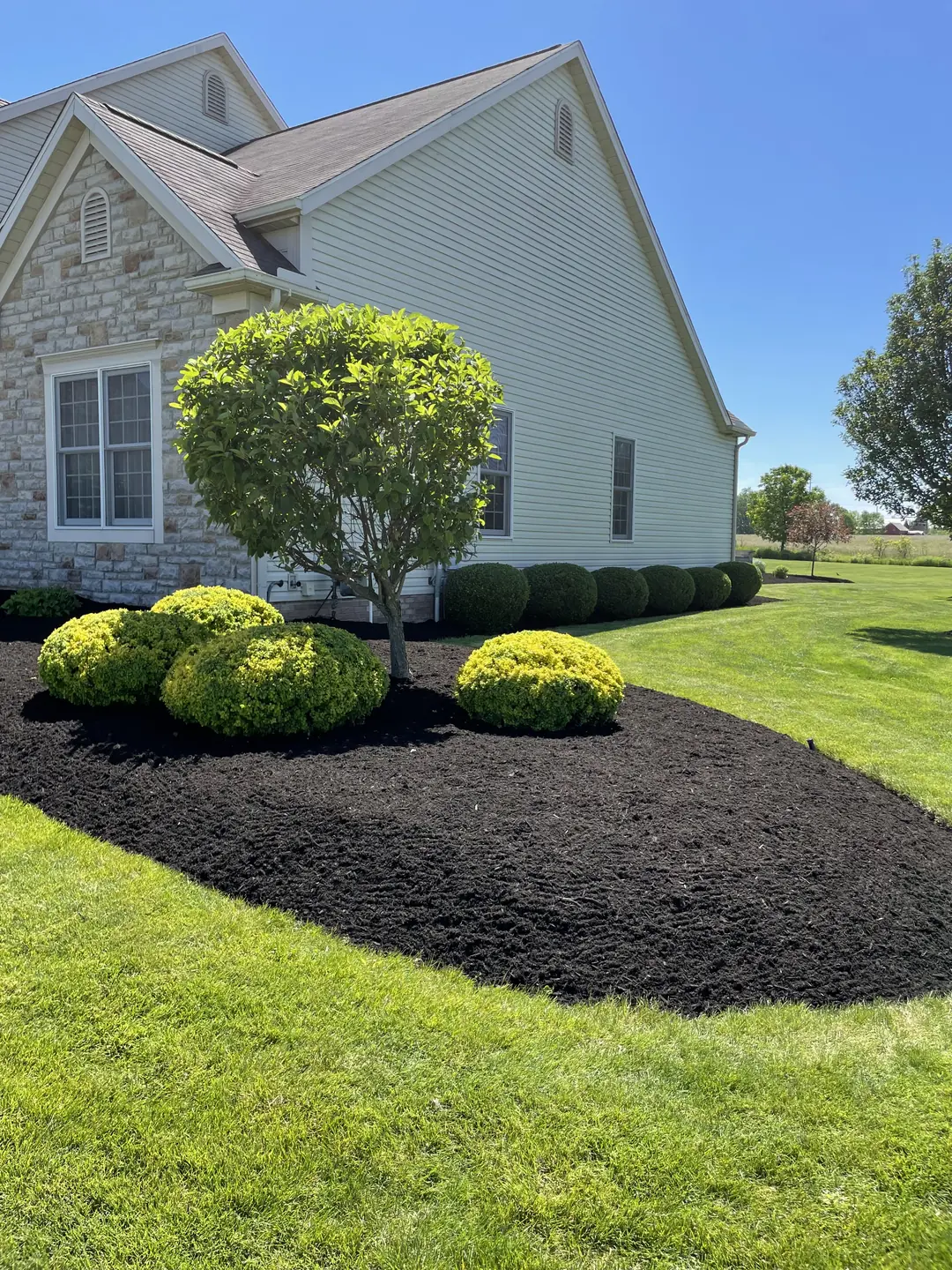 Freshly edged and mulched residential landscape bed
