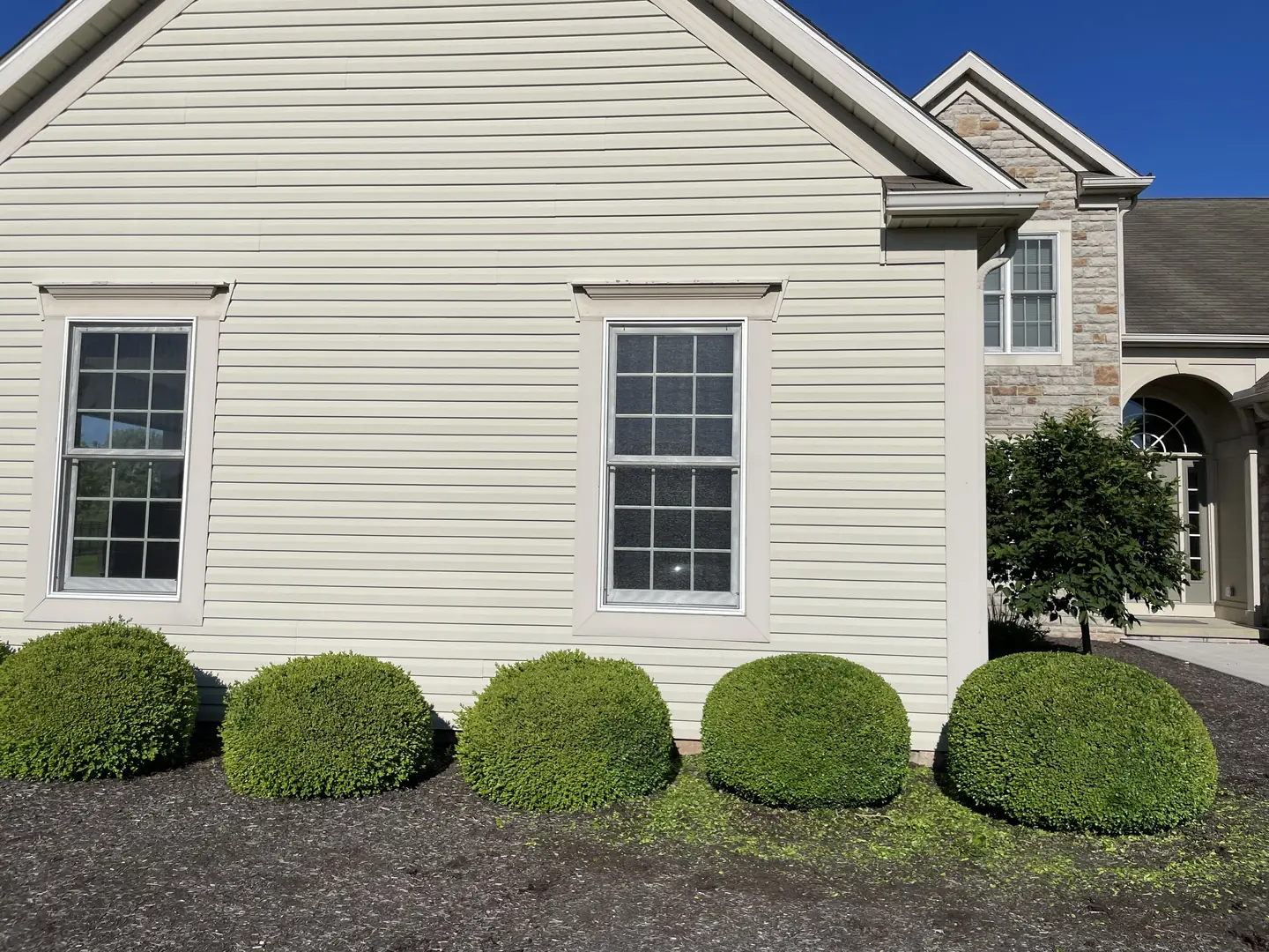 Freshly edged and mulched residential landscape bed