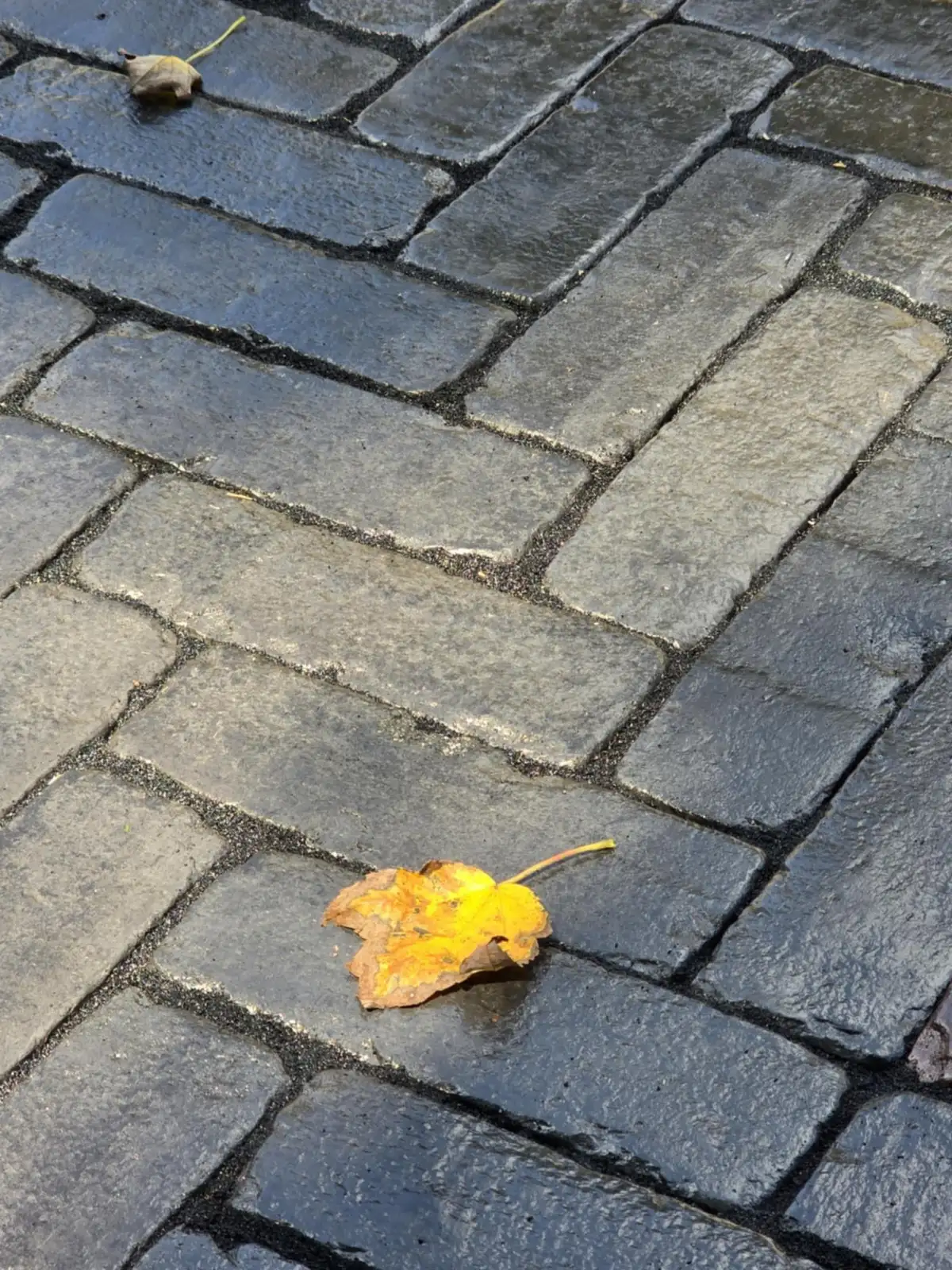 Close-up of herringbone paver pattern in charcoal and gray tones