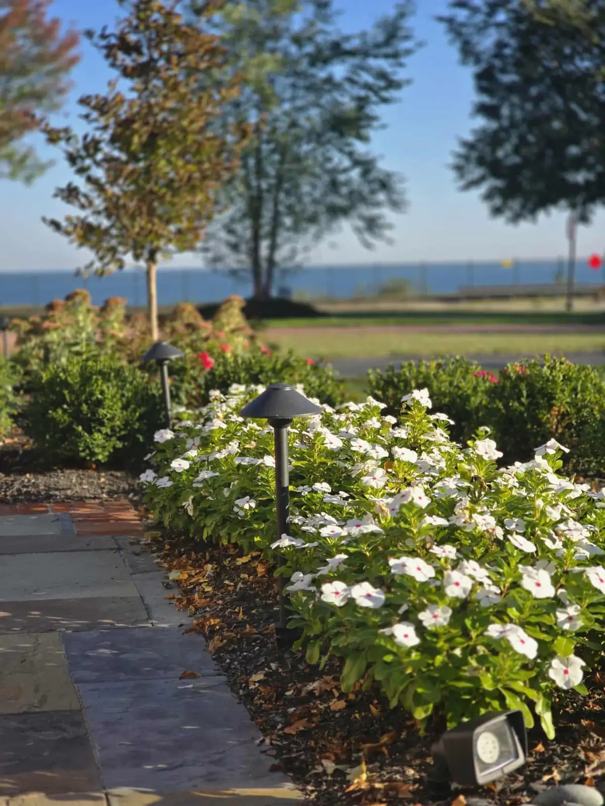 Paver walkway with mushroom path lights and flowering perennial beds