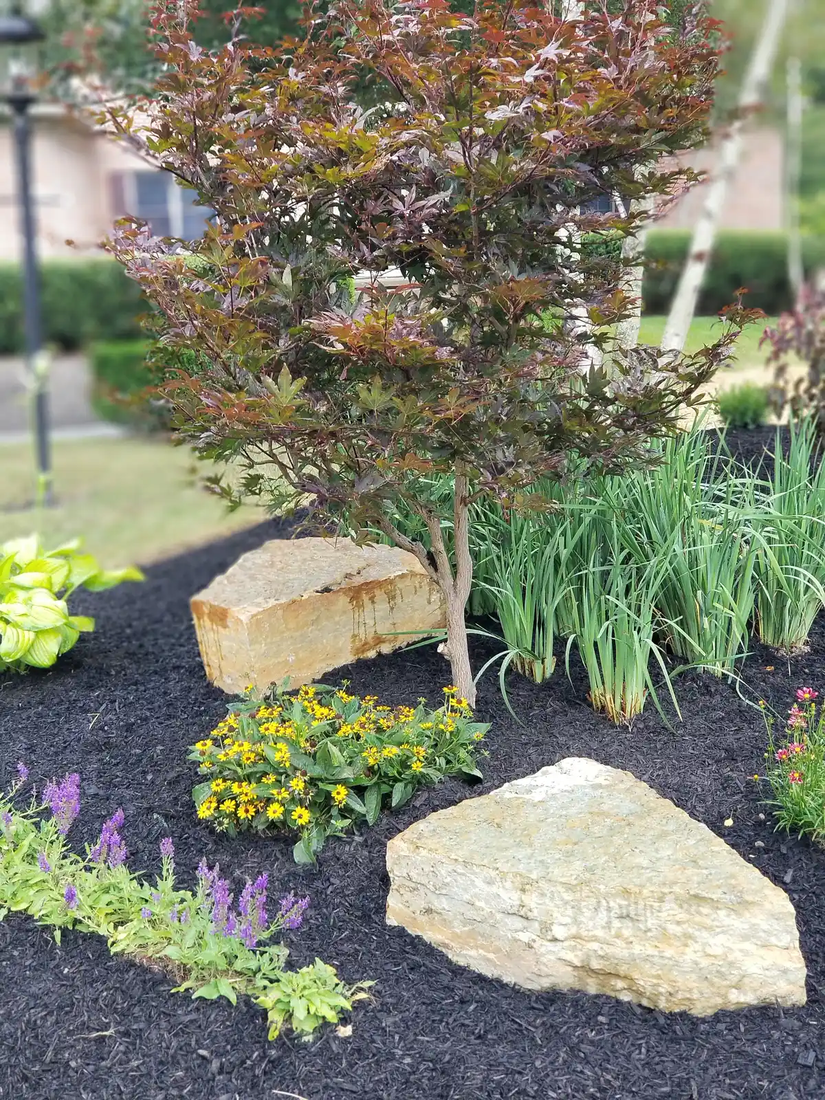 Property transformation with new sod and plantings