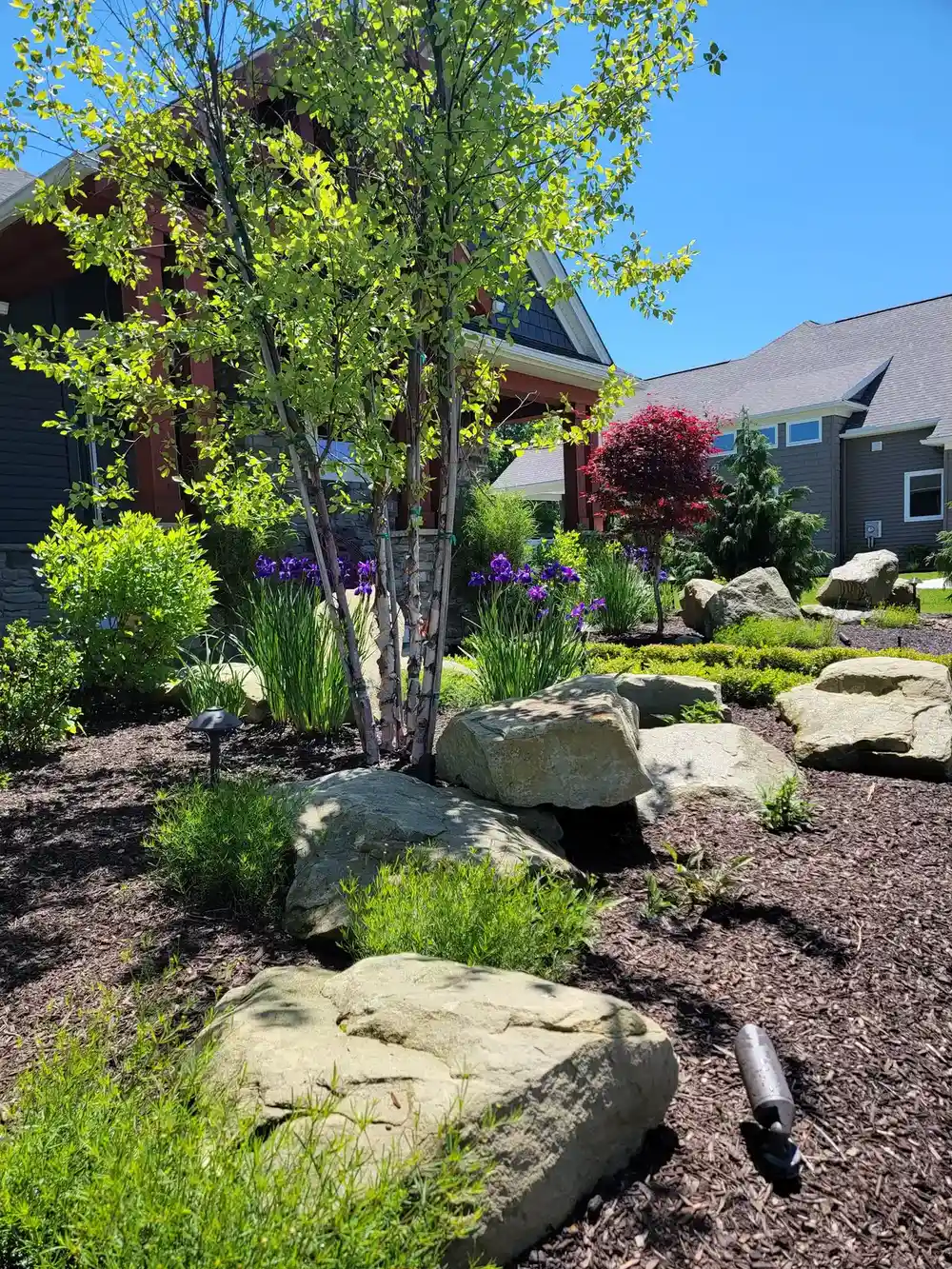 Residential front yard landscape renovation
