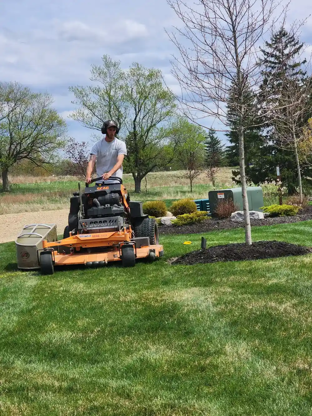 Garden bed cleanup and seasonal maintenance