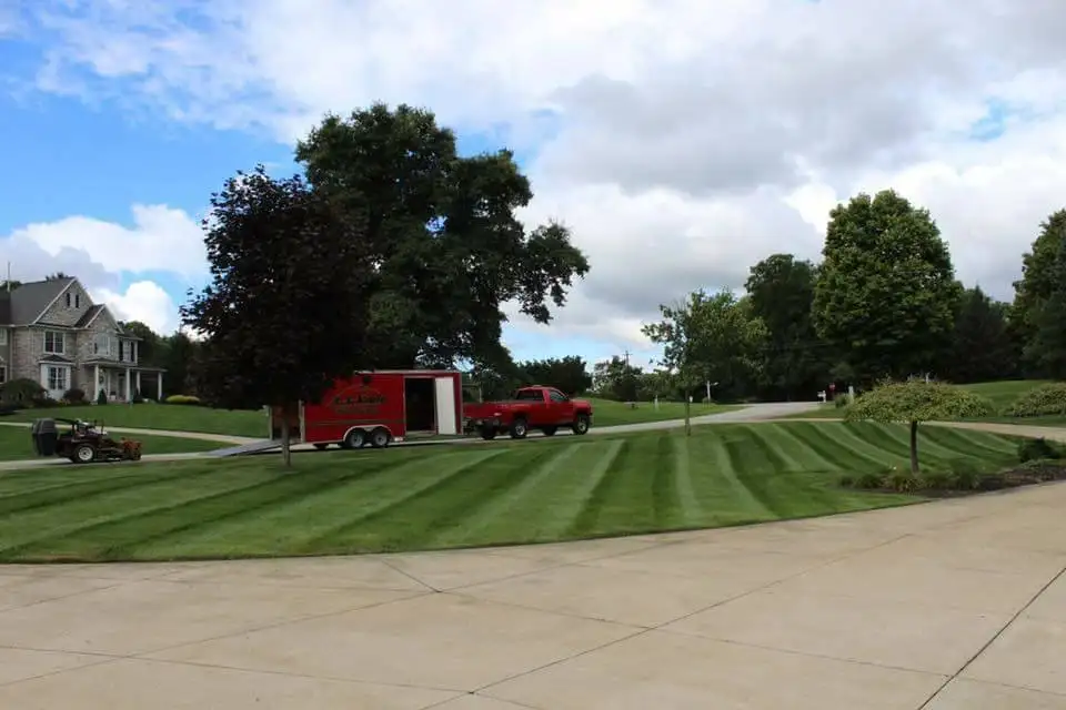 Landscape design with layered plantings