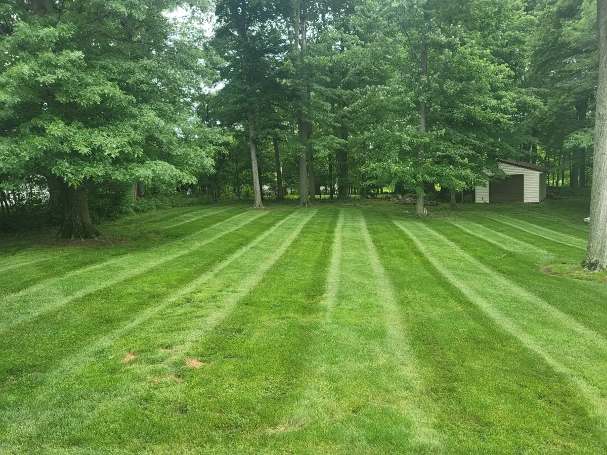 Pet-friendly synthetic turf yard installed by A.J. Kraig in Northeast Ohio
