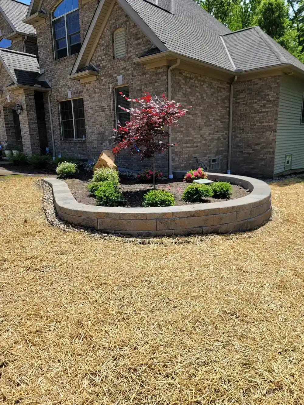 Raised stone planter with Japanese maple and boxwood shrubs