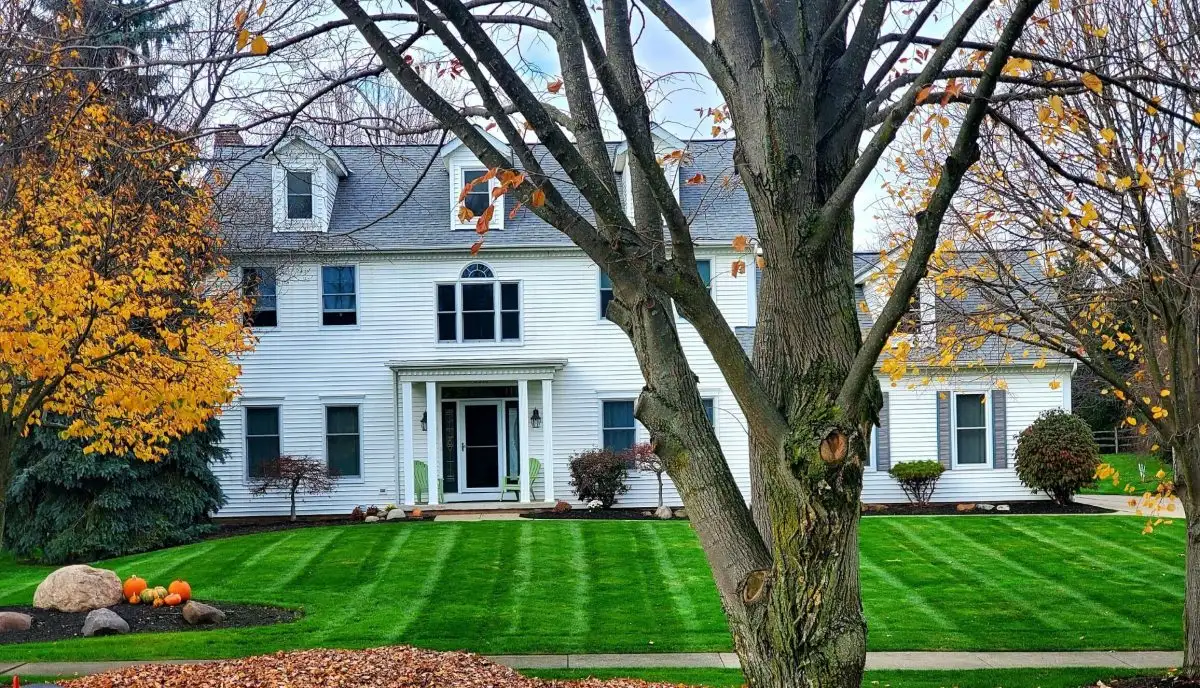 Fall lawn with striped mowing pattern and pumpkins