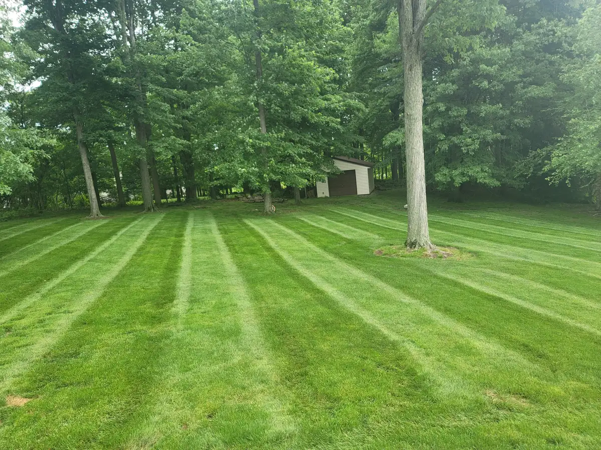 Professionally mowed lawn with clean striping and mature shade trees