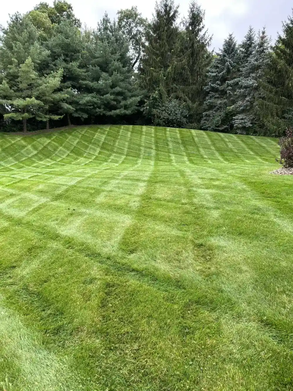 Professional lawn maintenance with crisp mowing lines on a North Royalton property