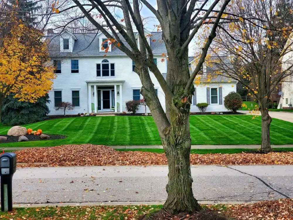 Spring cleanup with fresh-cut grass and clean landscape beds in Cleveland, Ohio