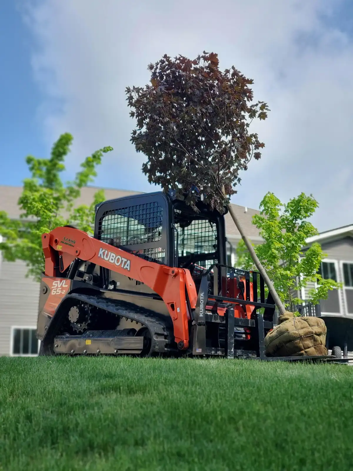 Professional shrub pruning and tree trimming in a residential landscape