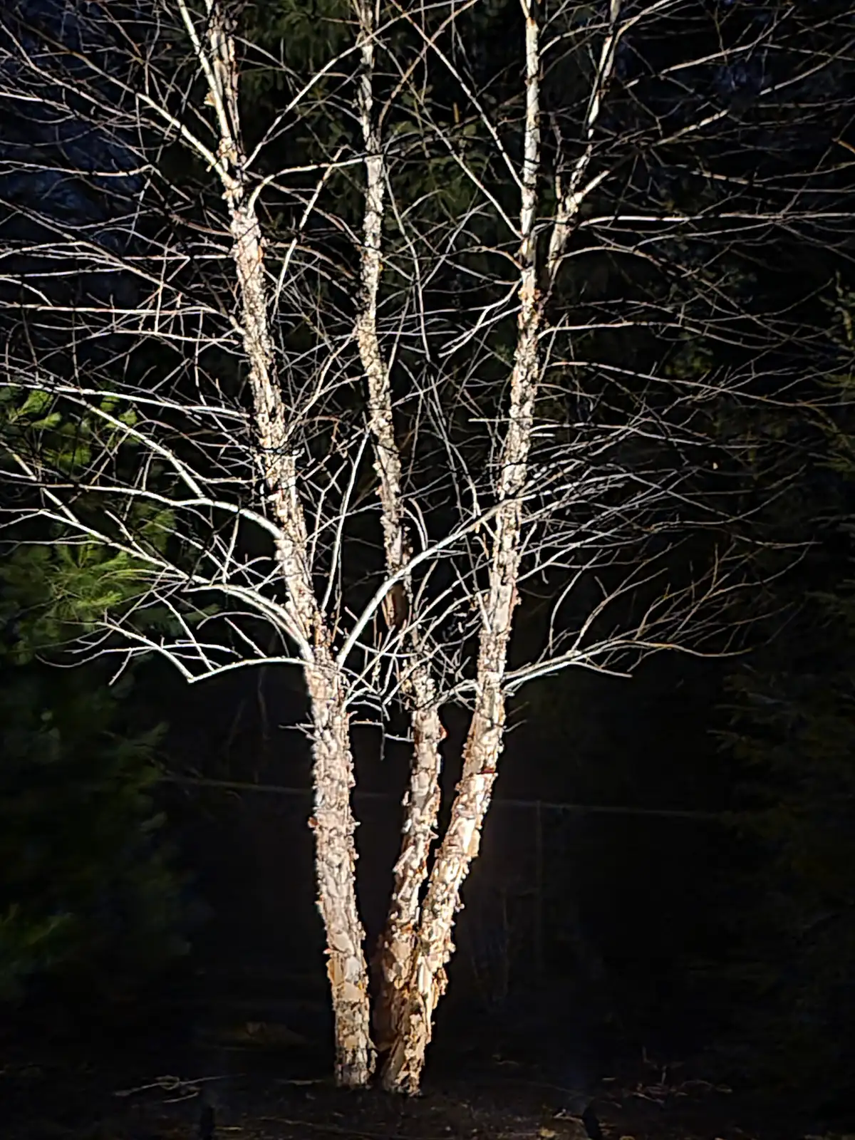 Low-voltage landscape lighting installation