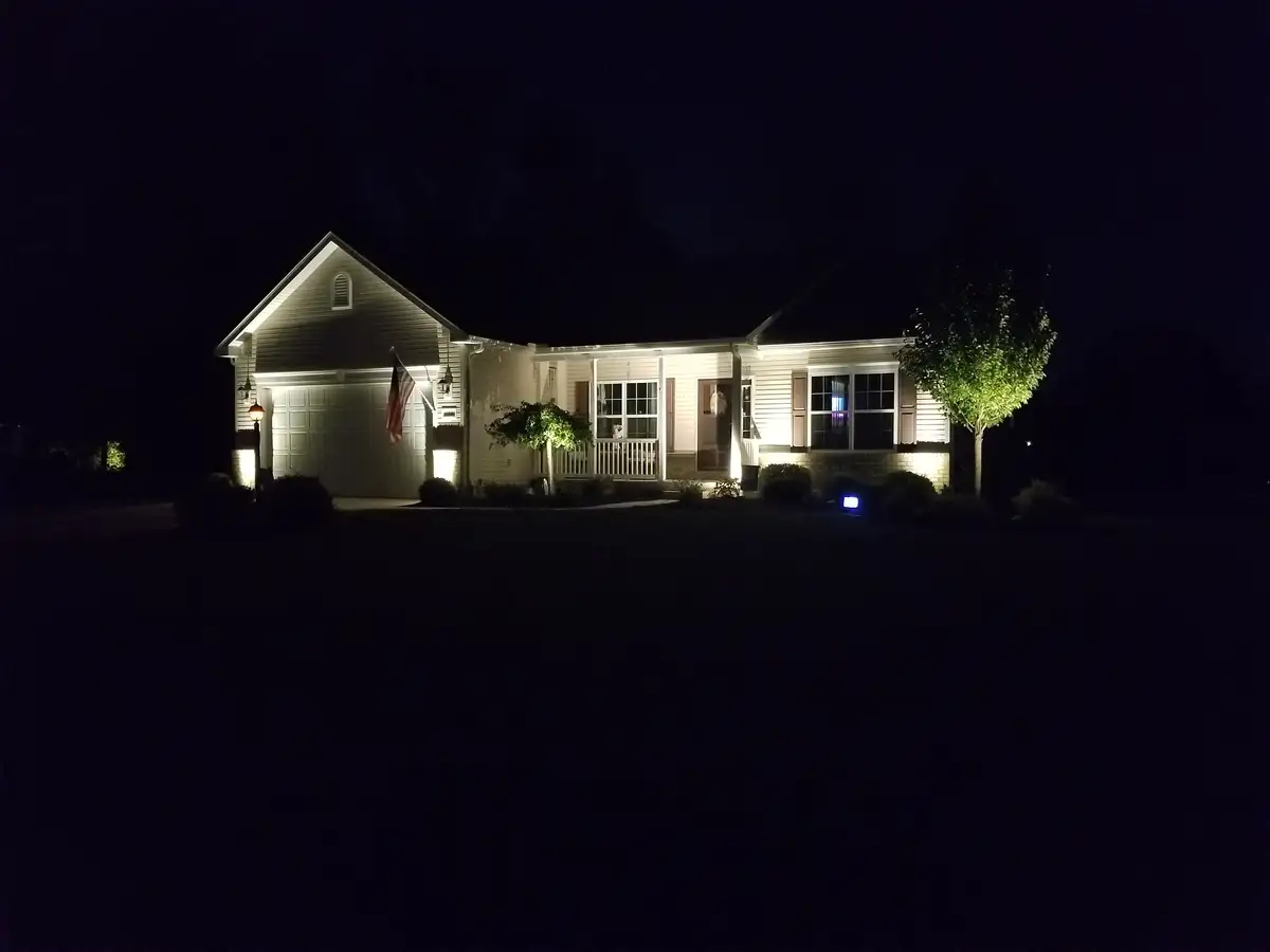 Uplighting on mature trees