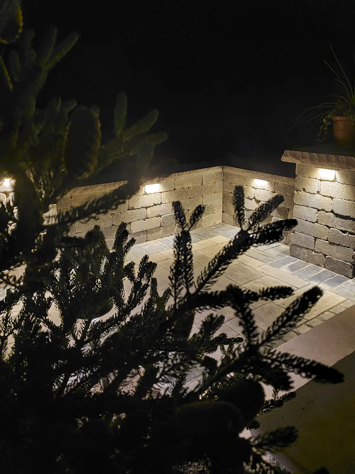 Outdoor entertaining area with string lights